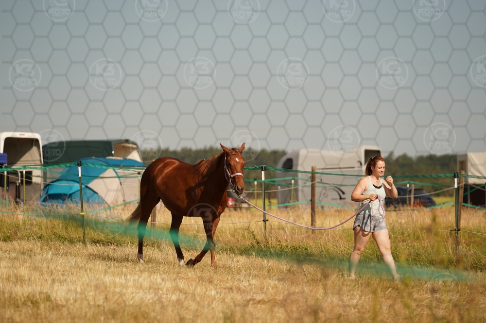 s_A9_03200.jpg
